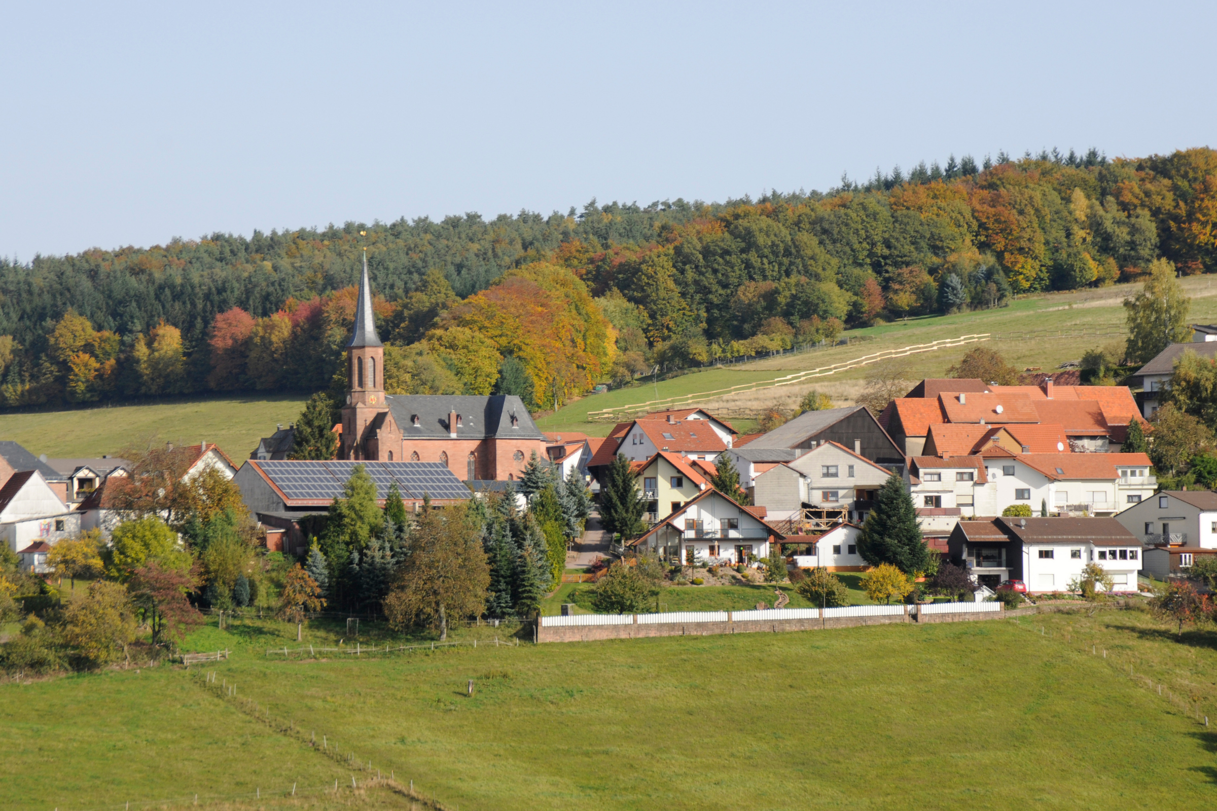 37 rothenberg.webp